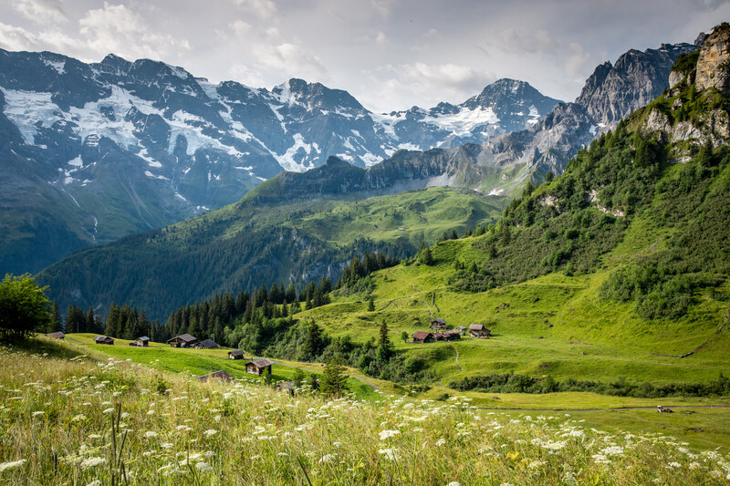 格林德瓦 夏季 Grindelwald