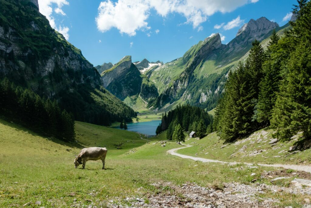 瑞士夏季山景